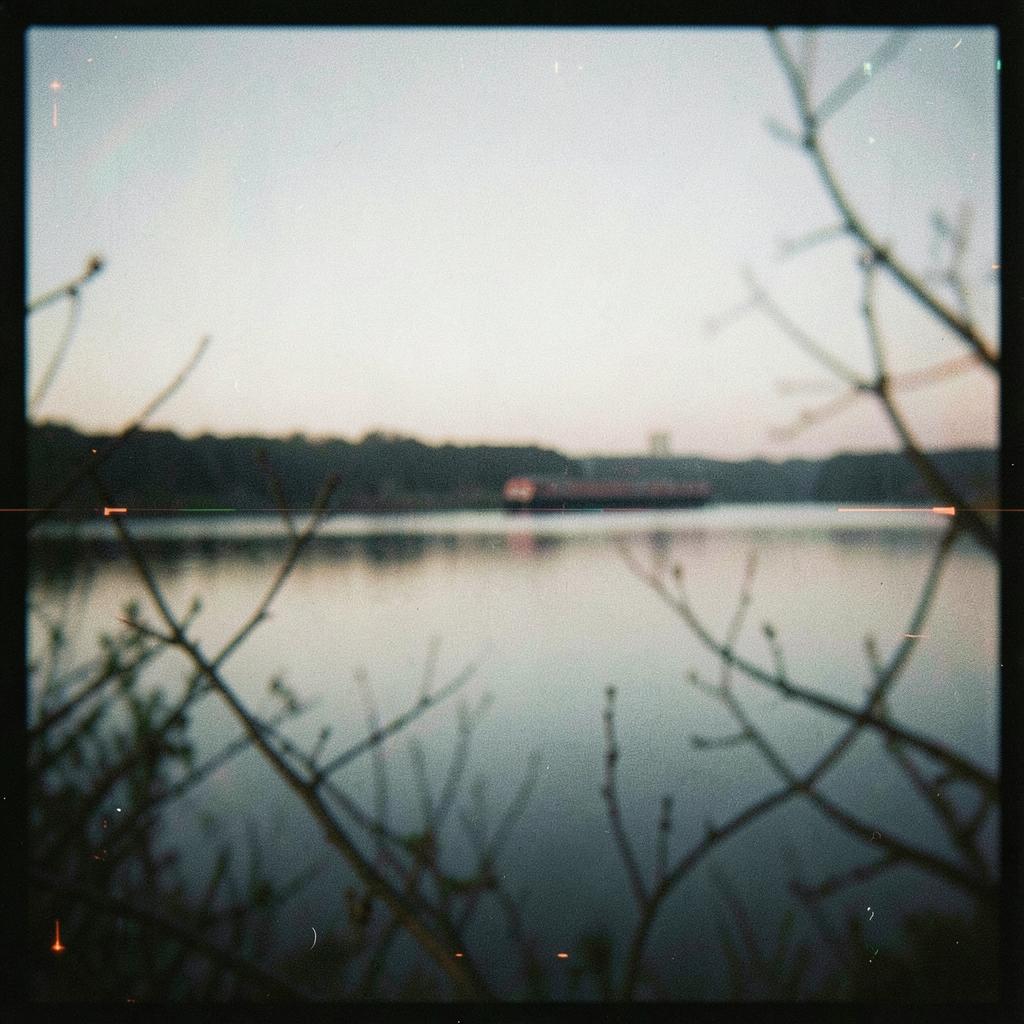 FIRST LIGHT OVER THE MARY RIVER artwork