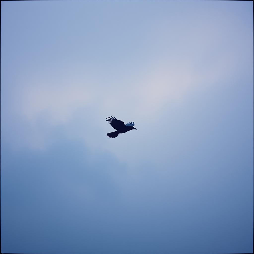 Song Cover Image