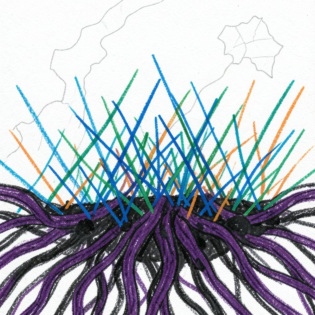 mycelium network artwork