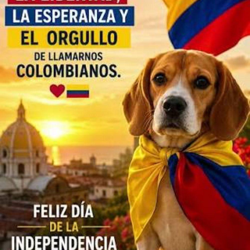 Colombian Dog Stars