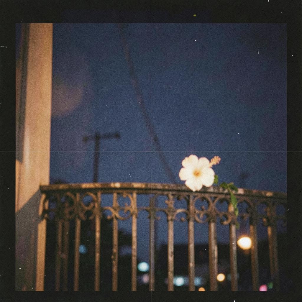 Midnight in Havana artwork