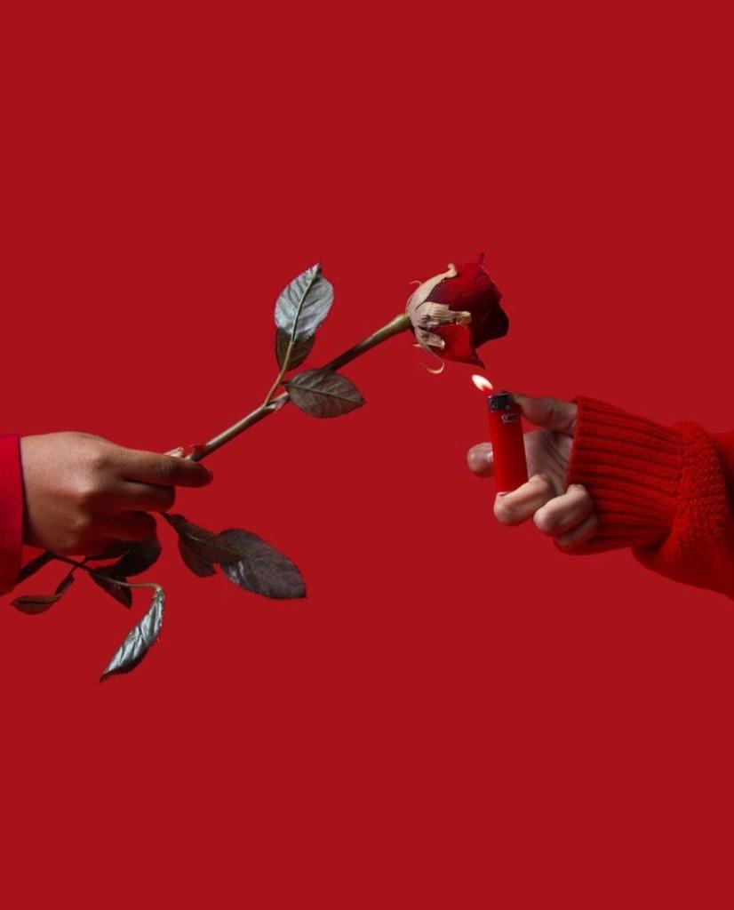 Roses & Fire