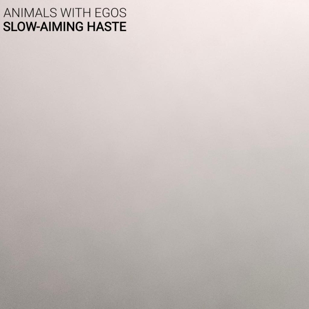 Slow-Aiming Haste