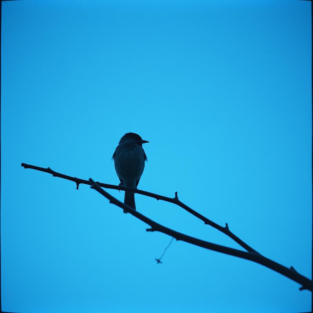 Persona image for Untitled Persona