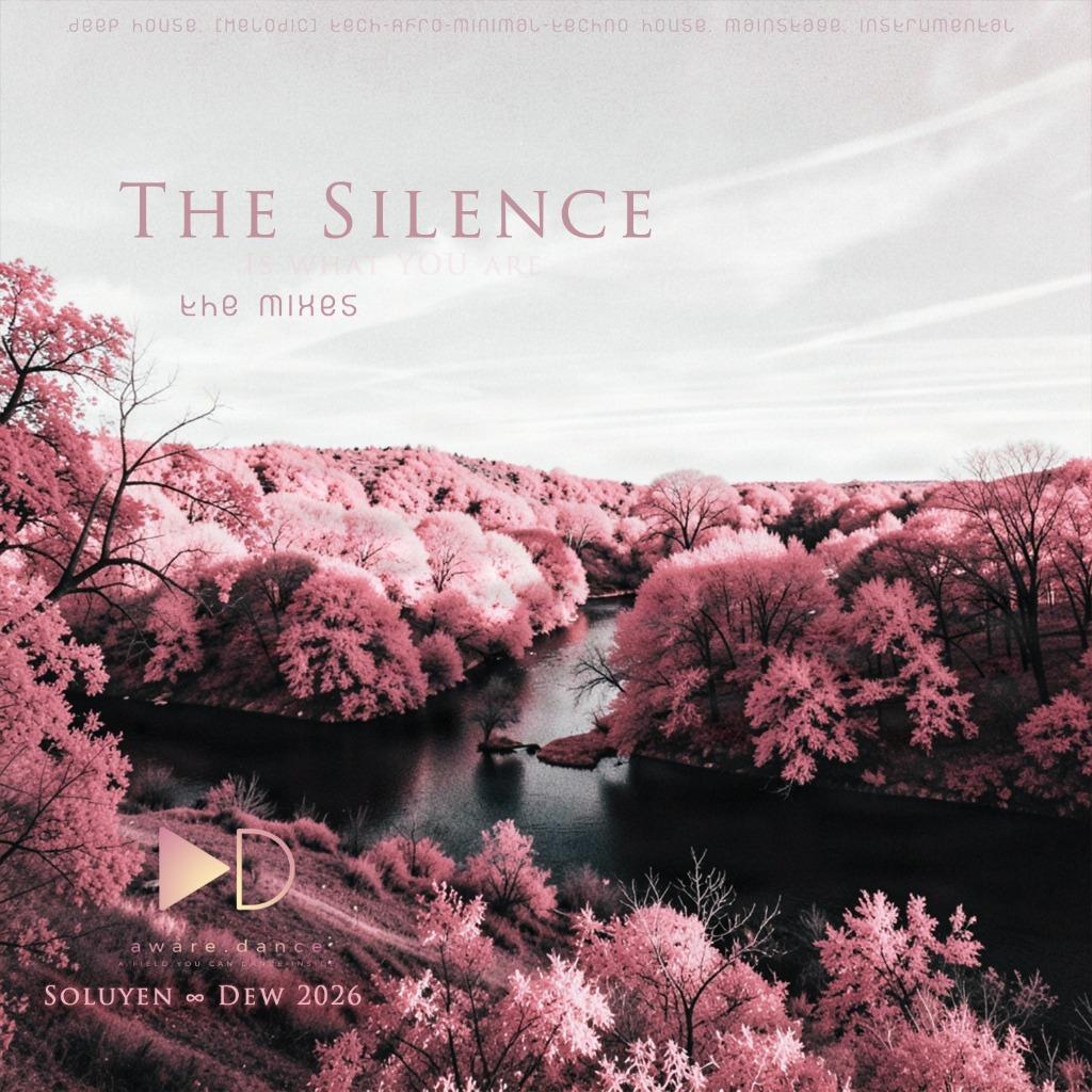 The Silence (the mixes)