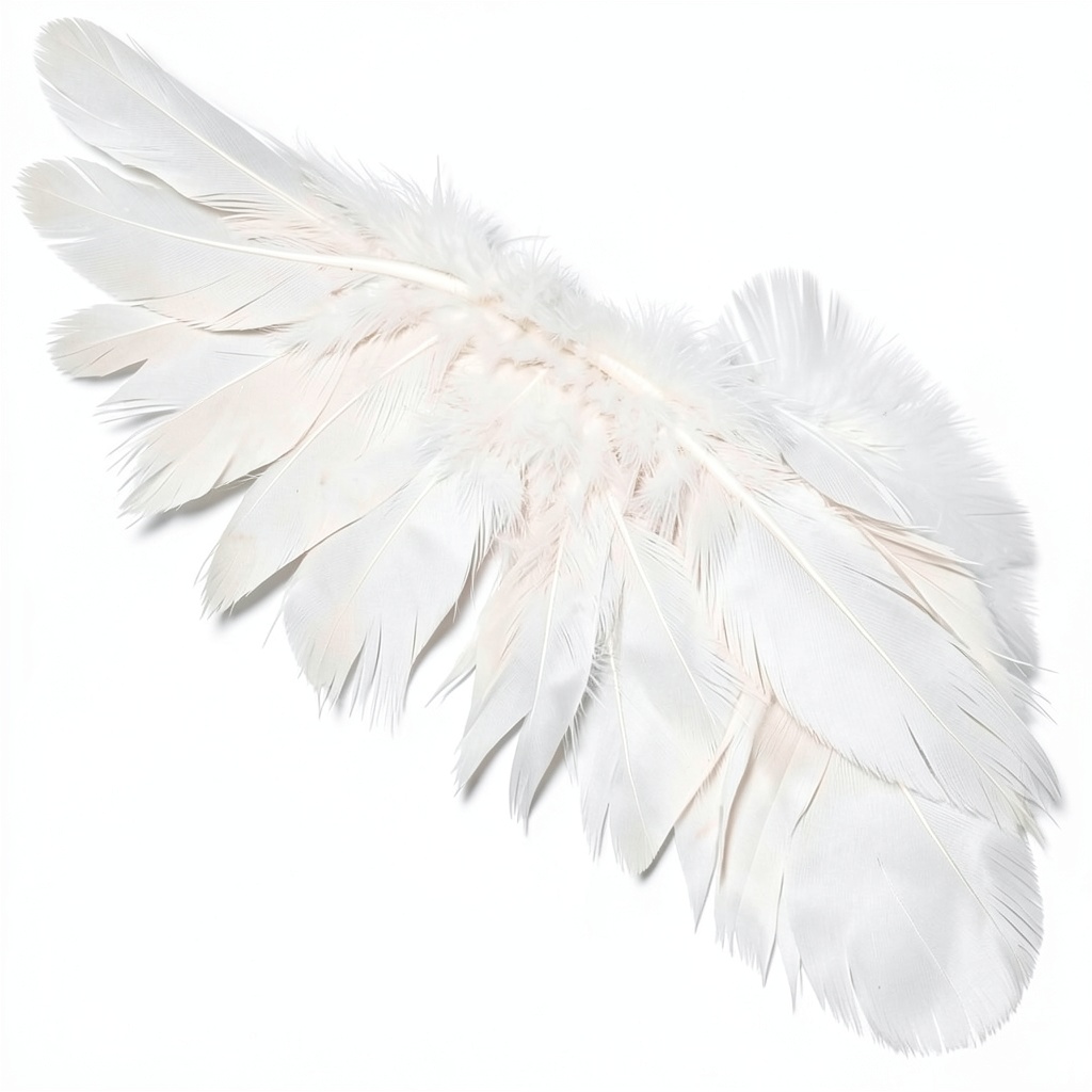 Angel (Remastered) artwork