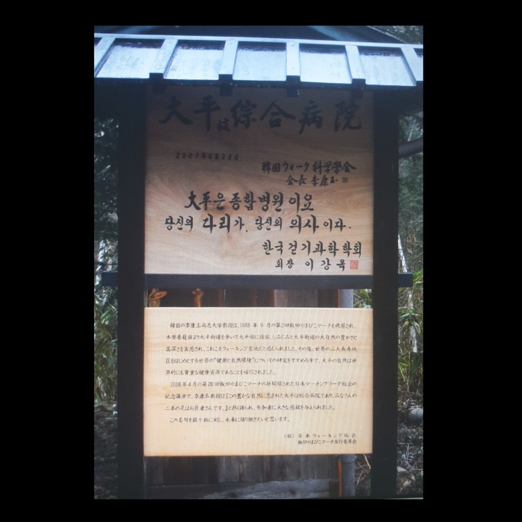 あなたの両足が医者 (Remastered) artwork