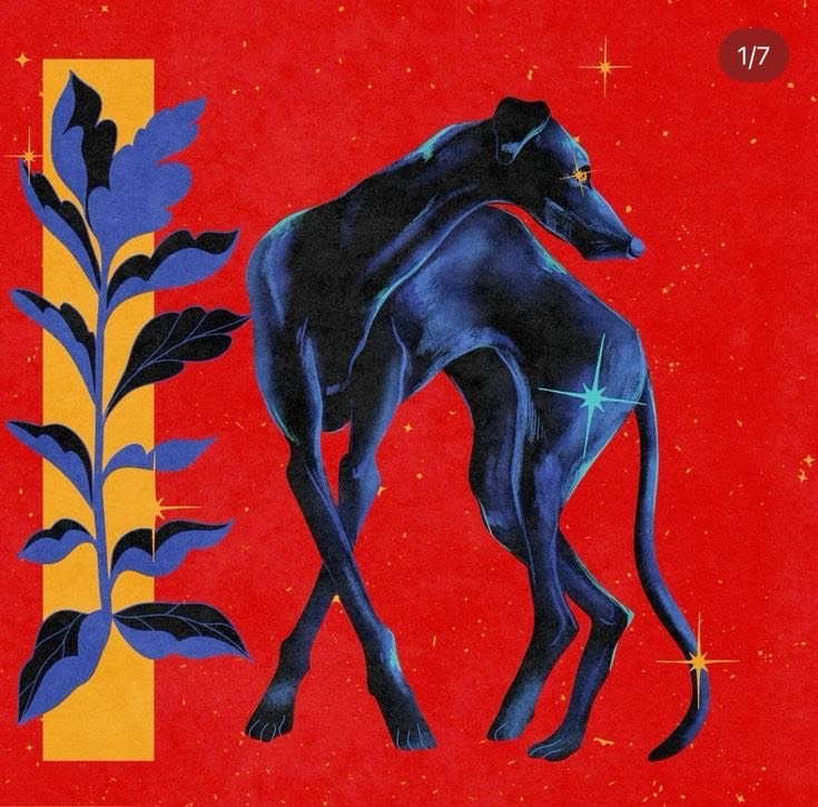 Image for Lofi Americana 