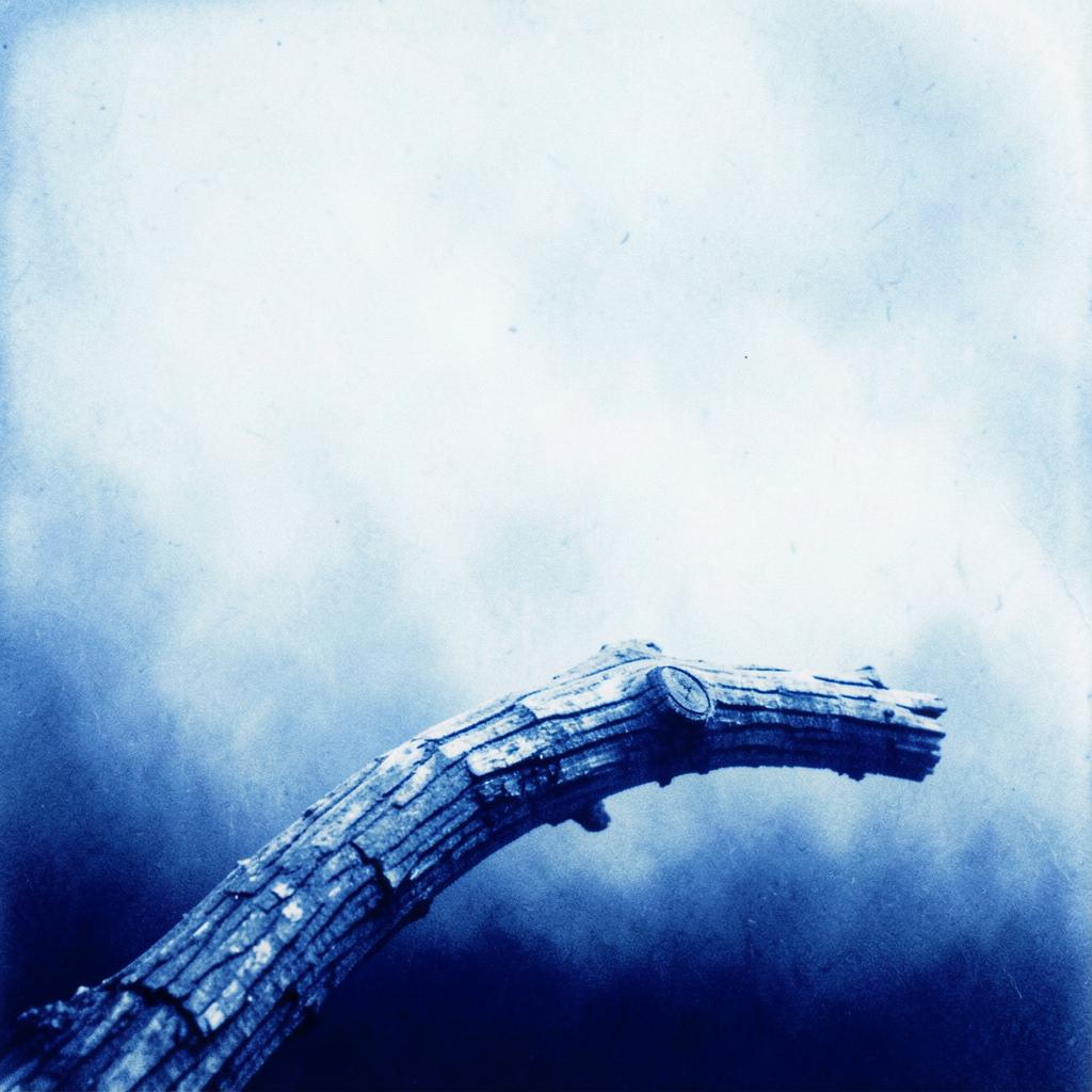 Boomerang of Blessings artwork