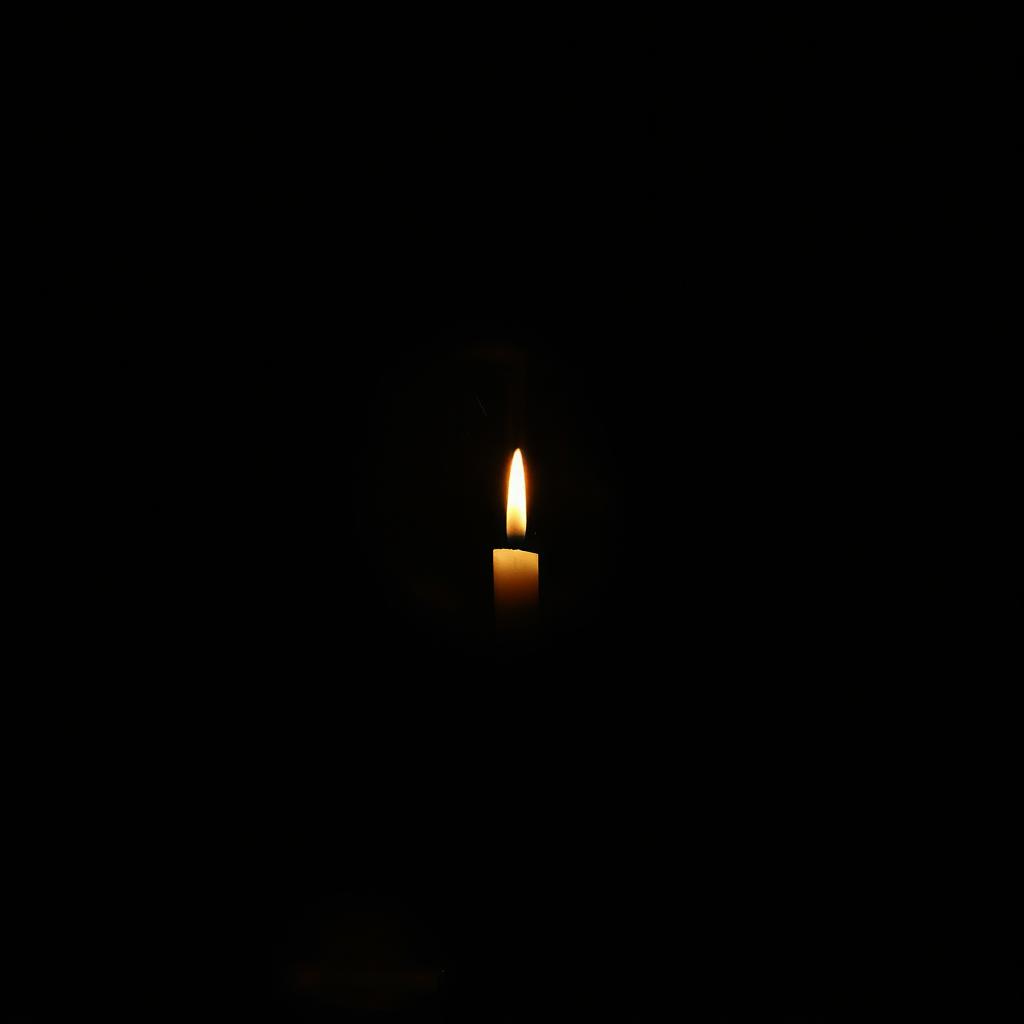 Persona image for Untitled Persona