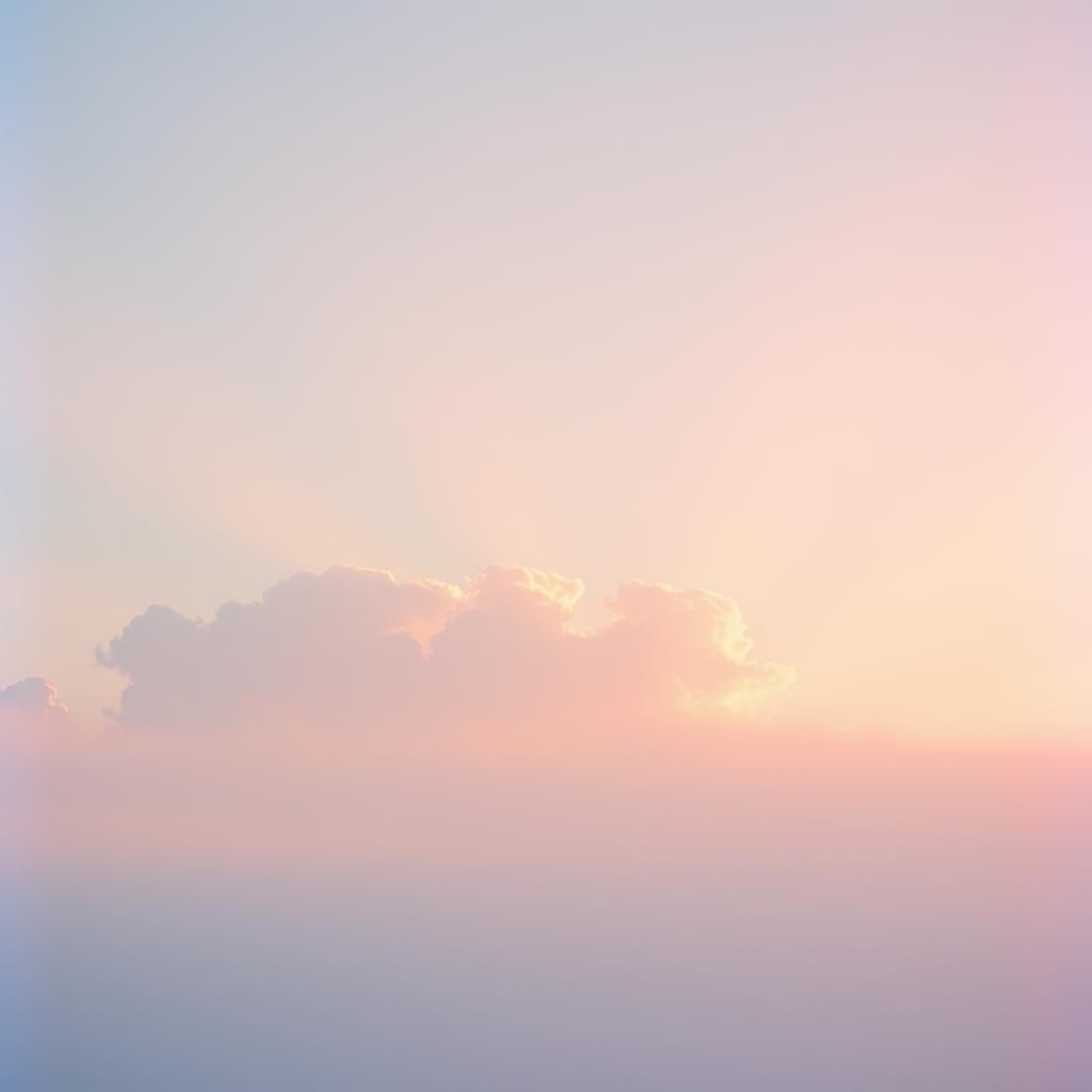 Bella 999 artwork