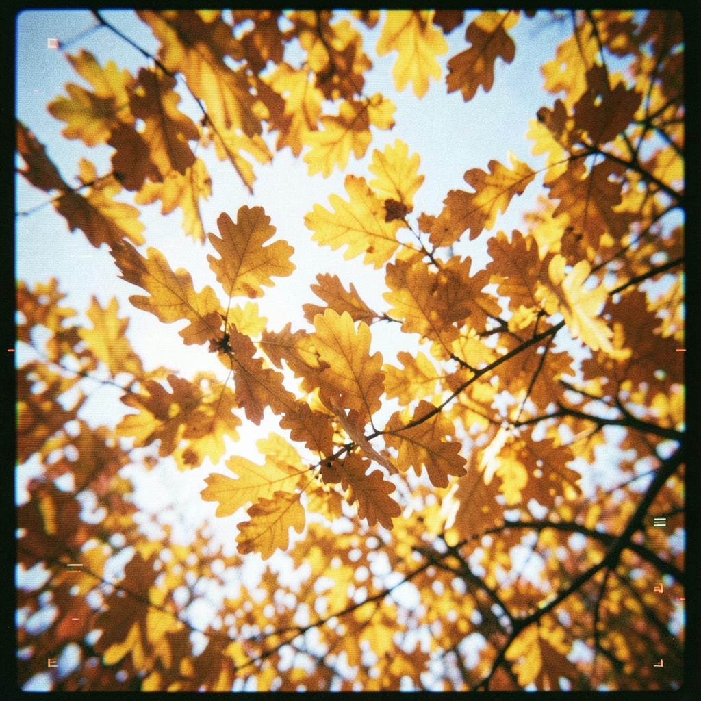 Golden Leaves artwork