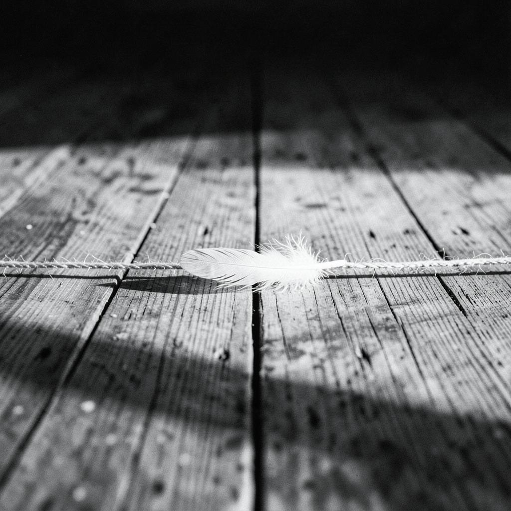 Dramat Felinologiczny - Wydawnictwo Niepewnego Sensu artwork