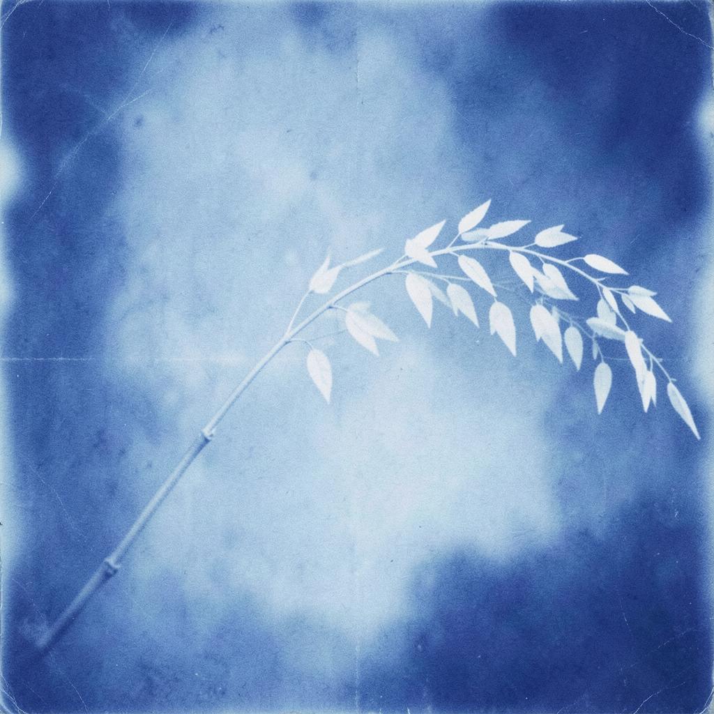 HEALING & MEDITATION 