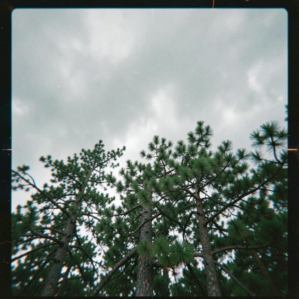 Beneath the Heavy Sky artwork