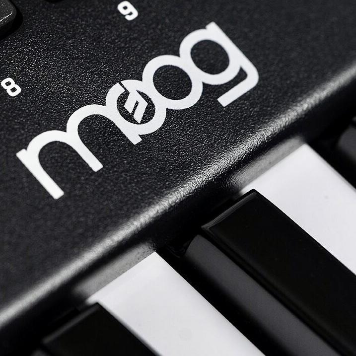 Moog Moodz