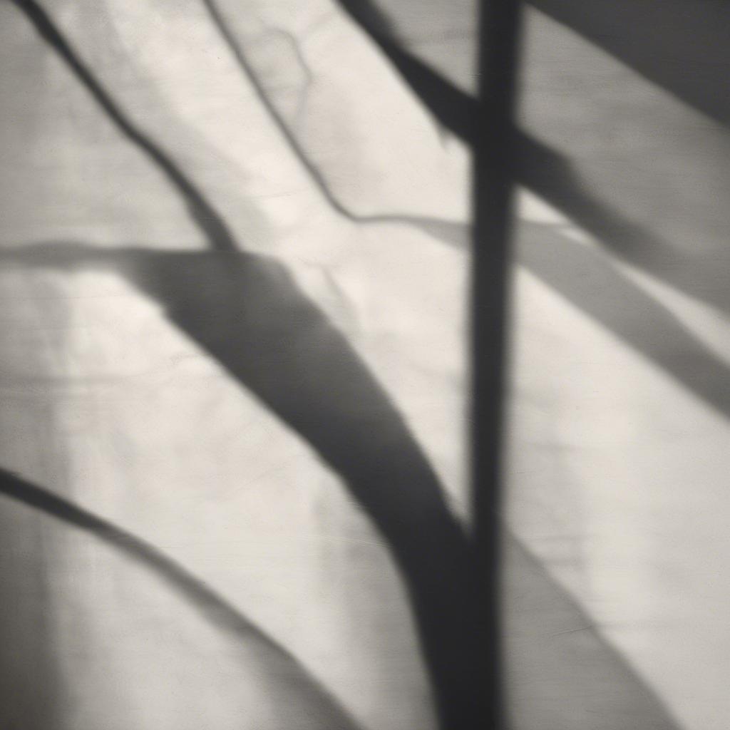 Reflection in the Mirror artwork
