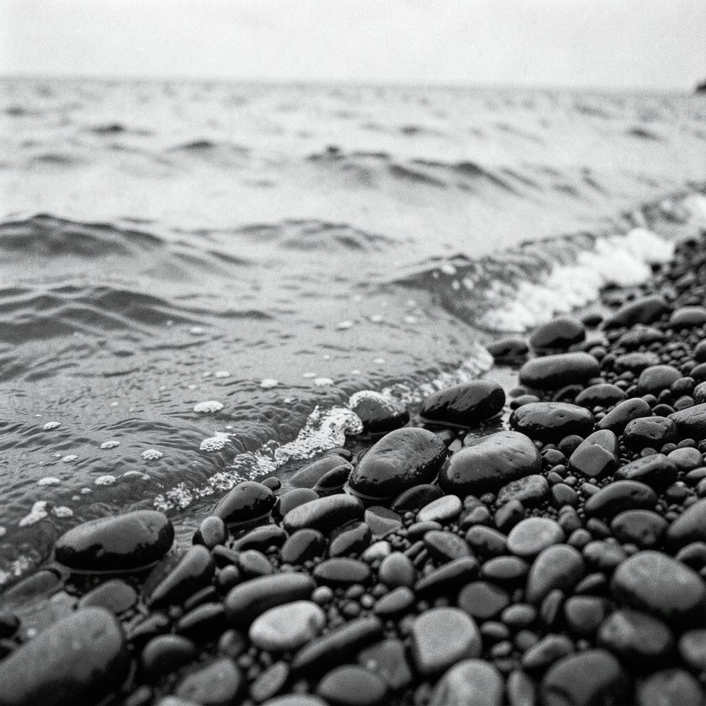 Watch the wave artwork