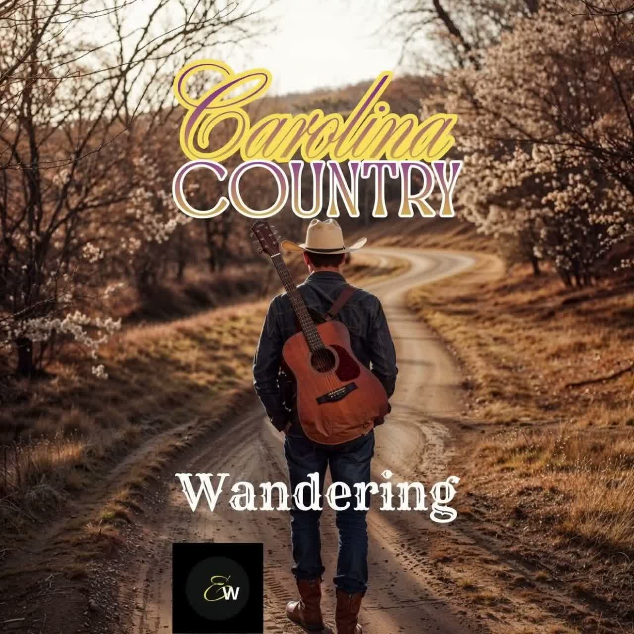 Wandering artwork