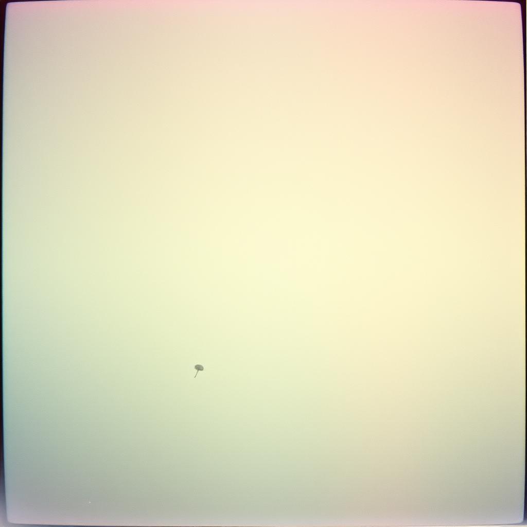 Persona image for Untitled Persona