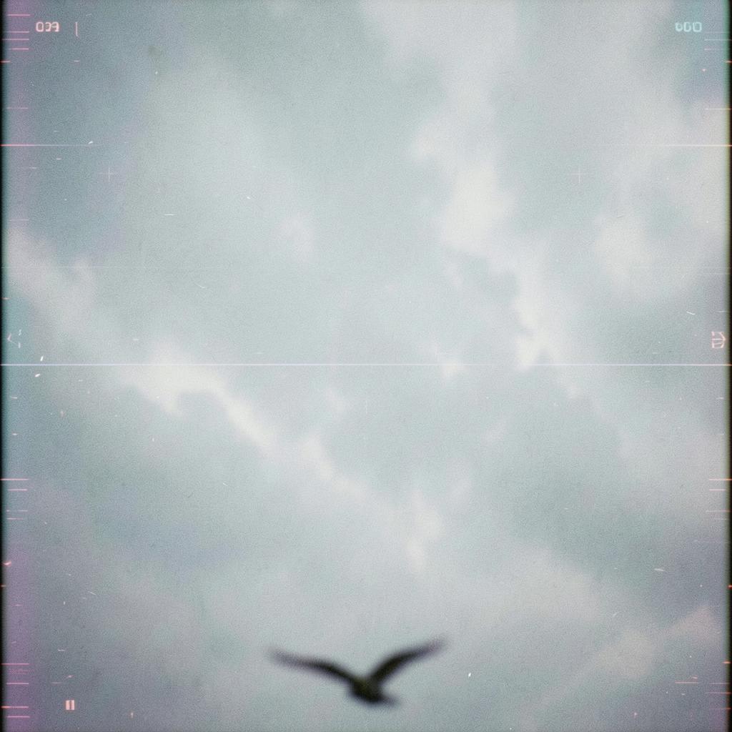Weightless Drift artwork