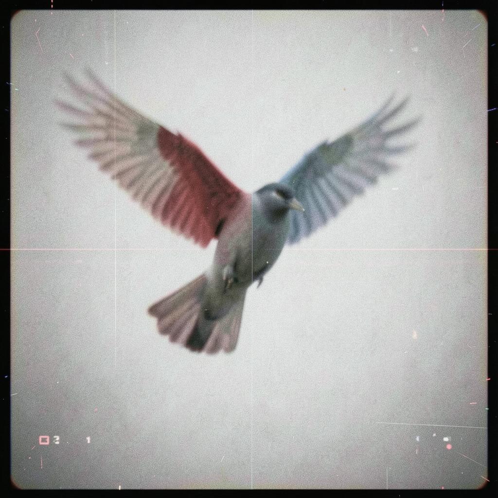 Two Wings of the Same Bird artwork