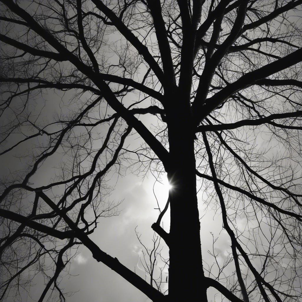 Image for tower of god