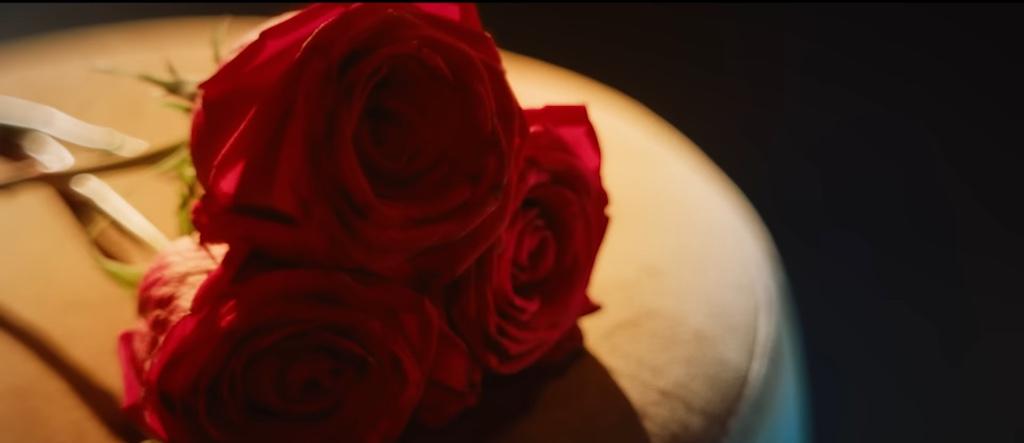 #4 𝐍𝐎 𝐌𝐔𝐒𝐈𝐂, 𝐍𝐎 𝐌𝐄❣️