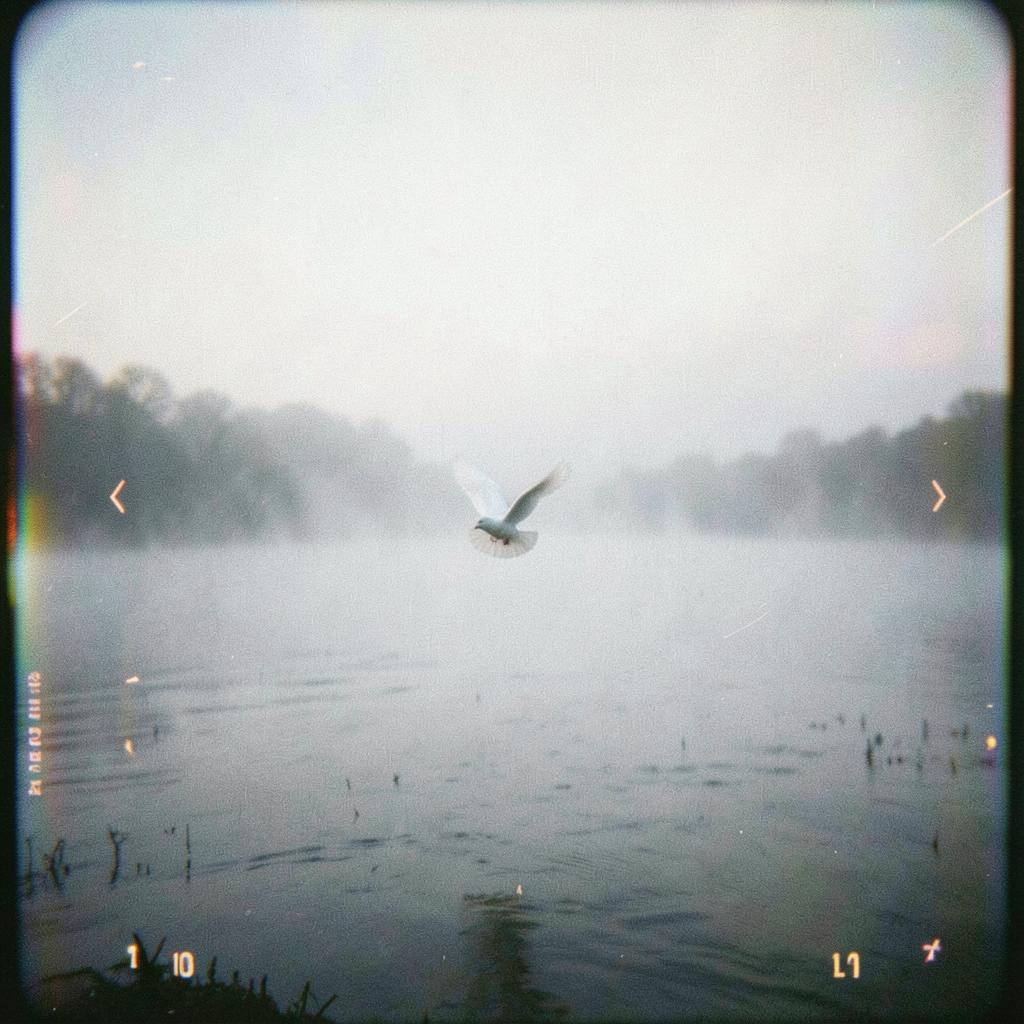 Song Cover Image