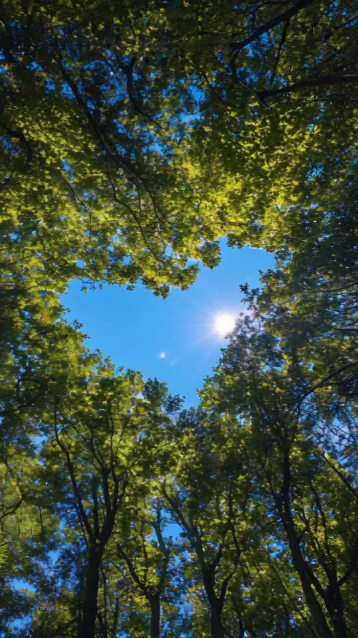 Image for Sky-Blue Hearts