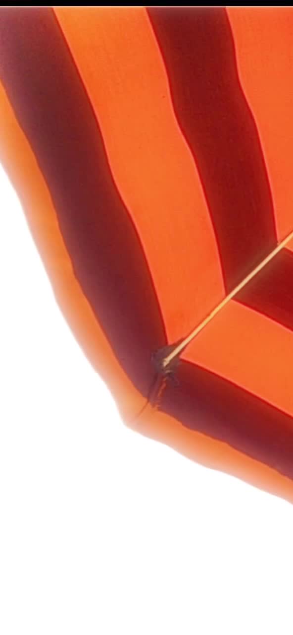 Image for License to Chill