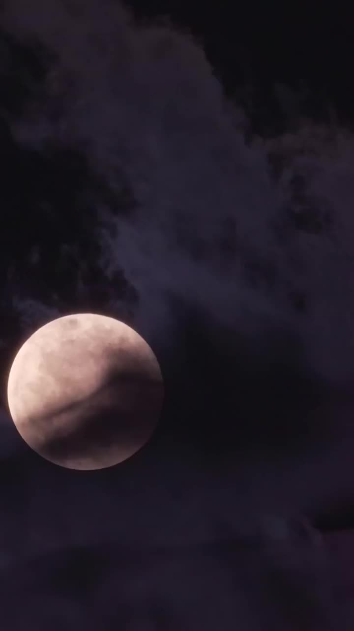 Hindi 3
