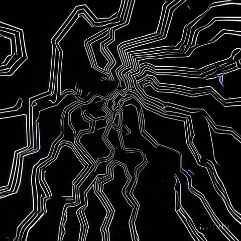 Ecos (Remastered) artwork