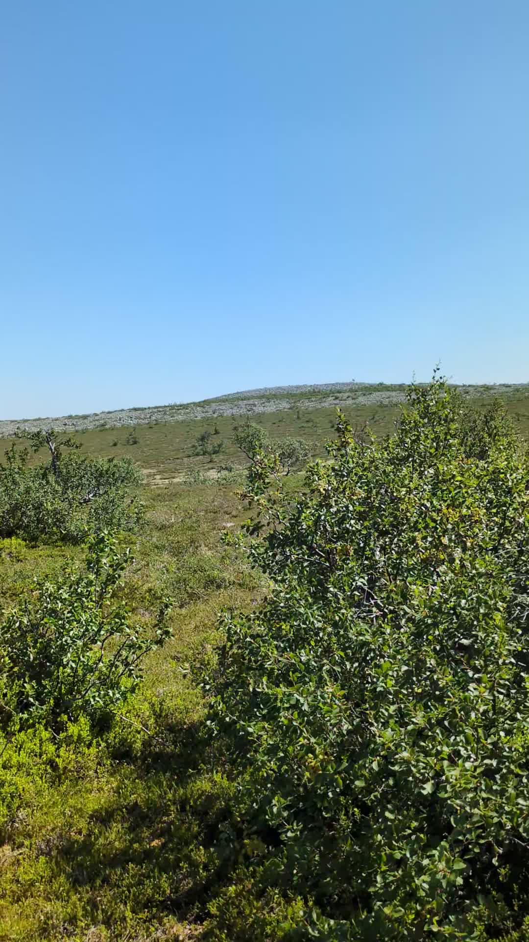 Persona image for Björnrike 