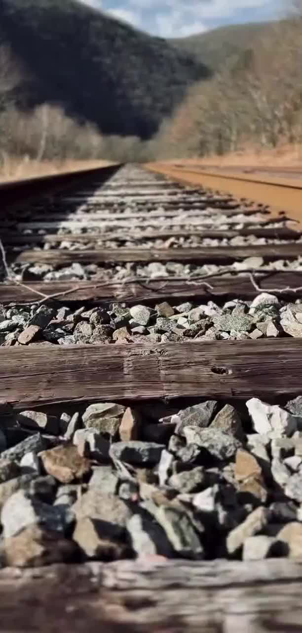 Persona image for Untitled Persona