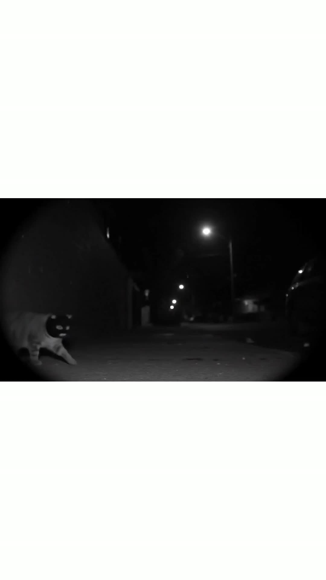 Image for Before God, There Was Truth.