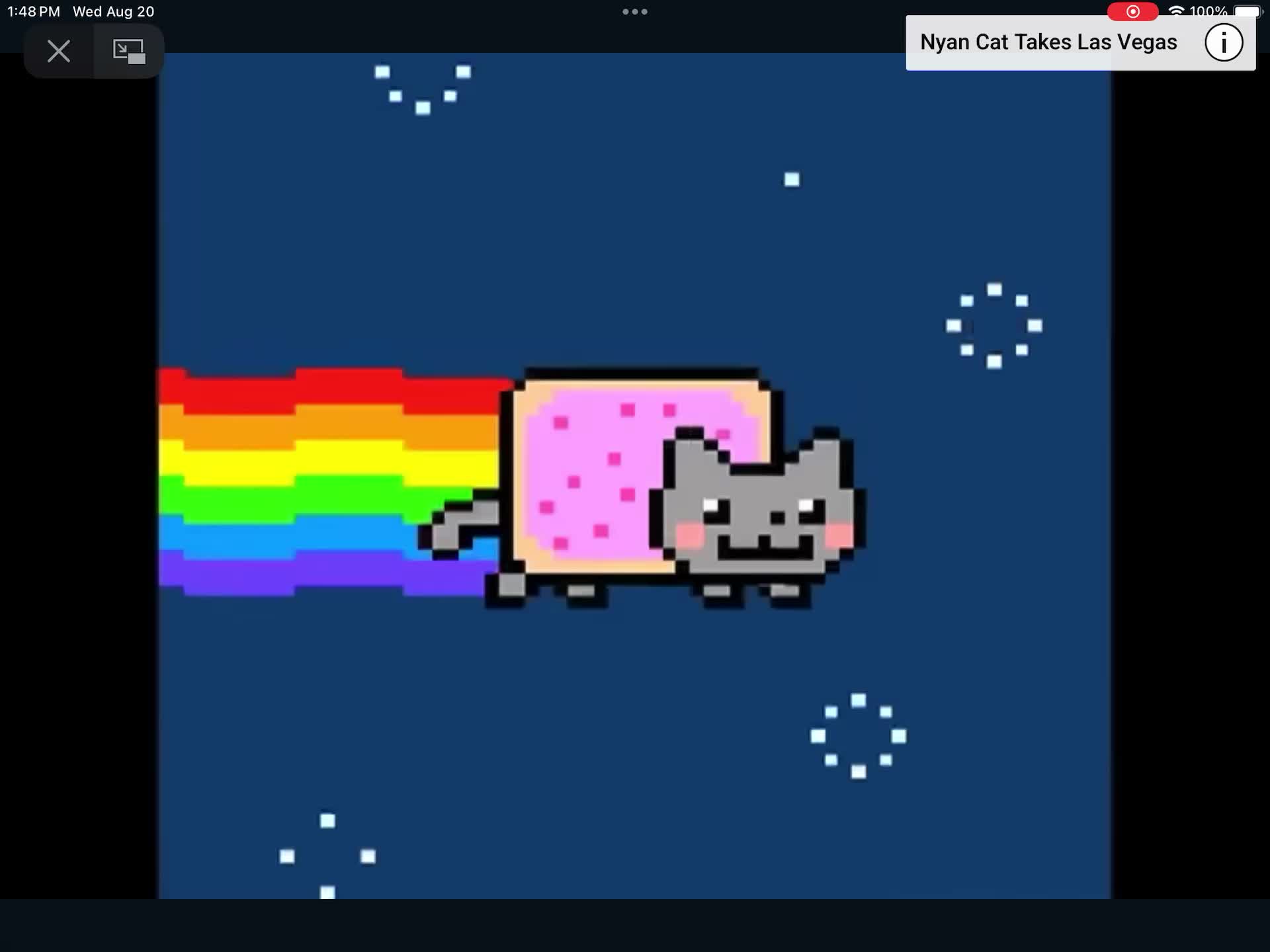 Nayn Cat Anthem artwork