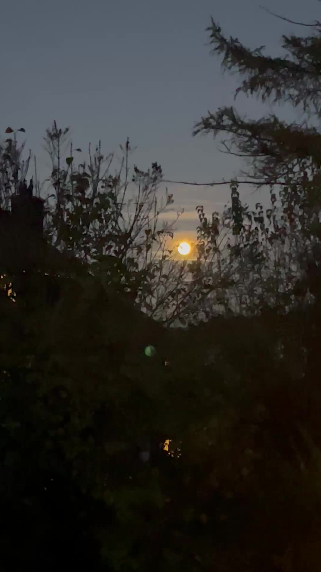 Image for Rock/Indie/Shoegaze Etc