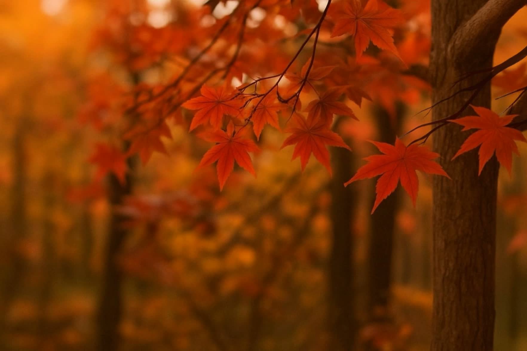 Image for 萬物有聲