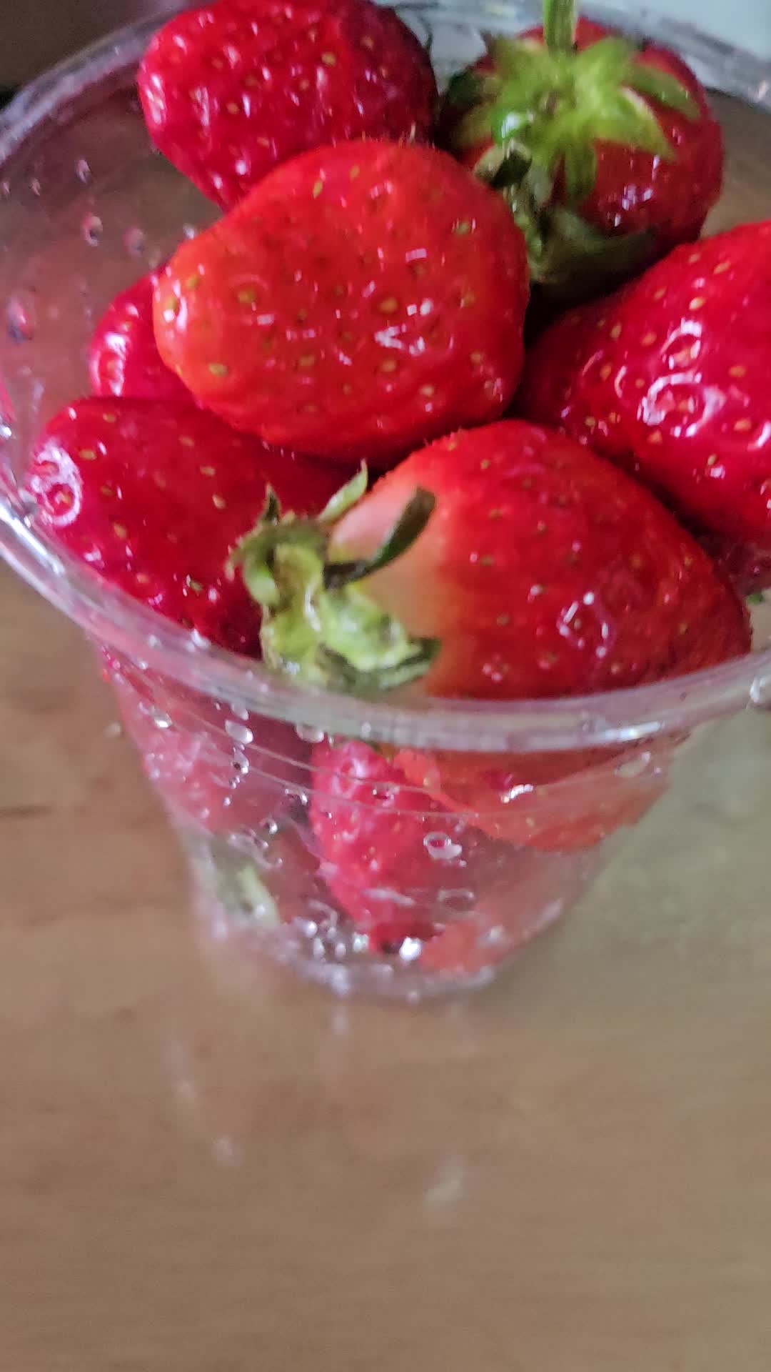 Persona image for Untitled Persona