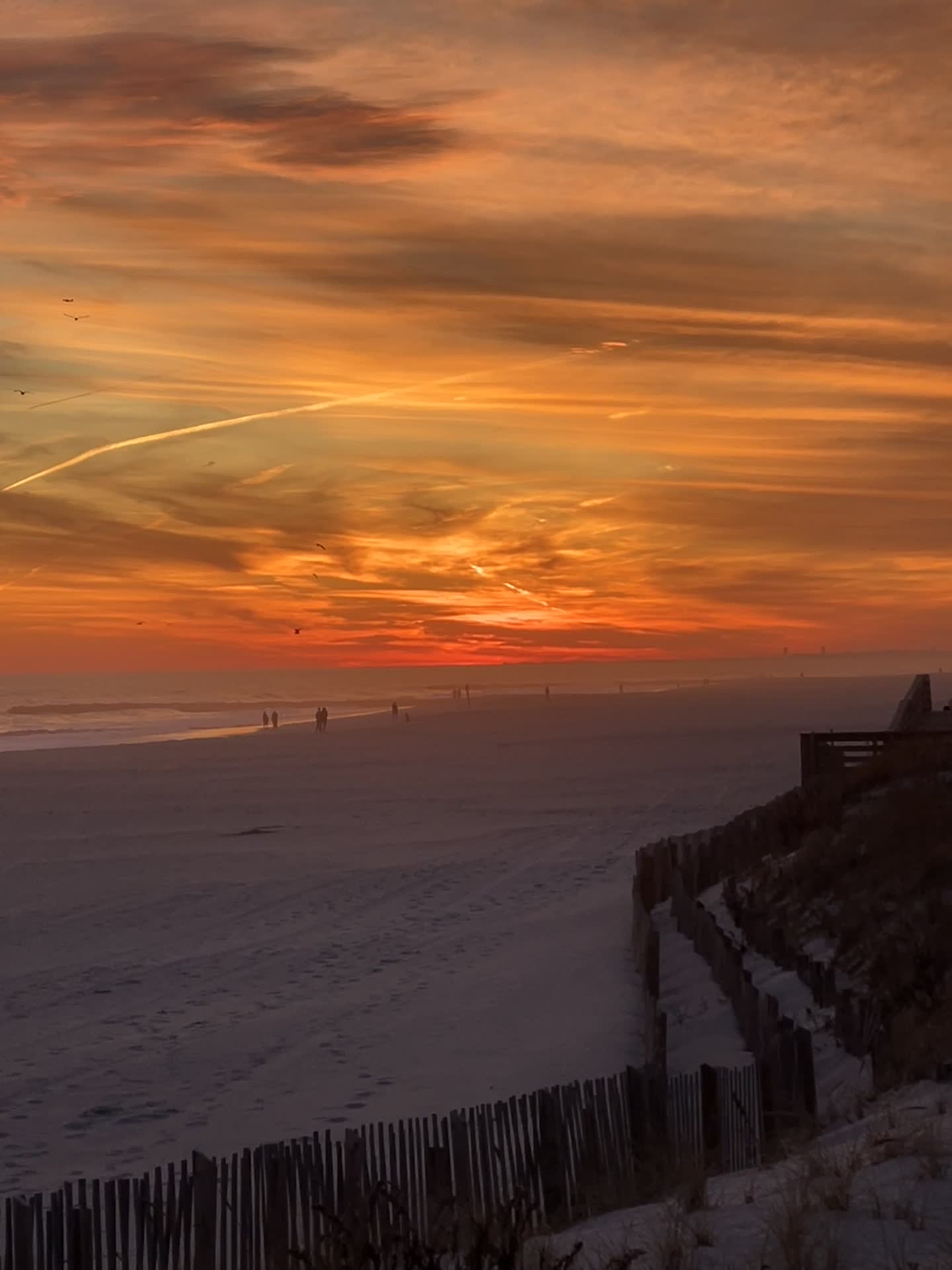 Image for Demo Playlist 2