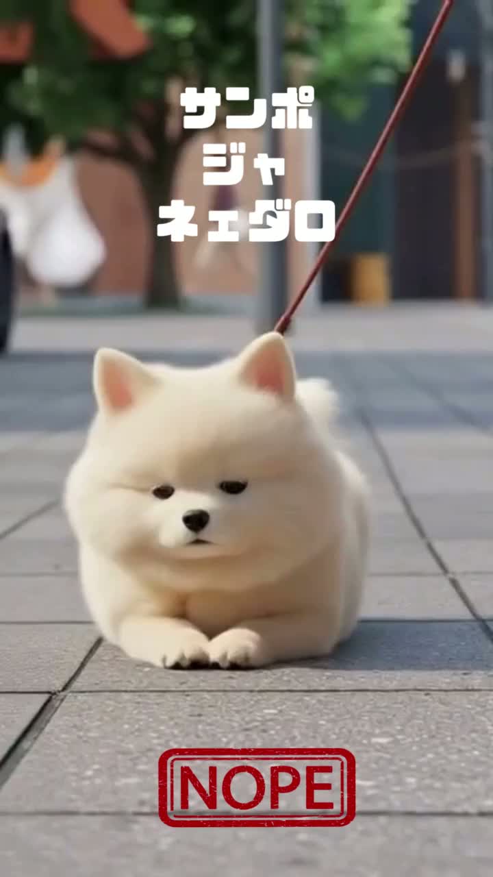 이웃 베스트 노래 2