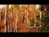 Cover image for Mojim bratom_by MG (E dur V_4) ♂