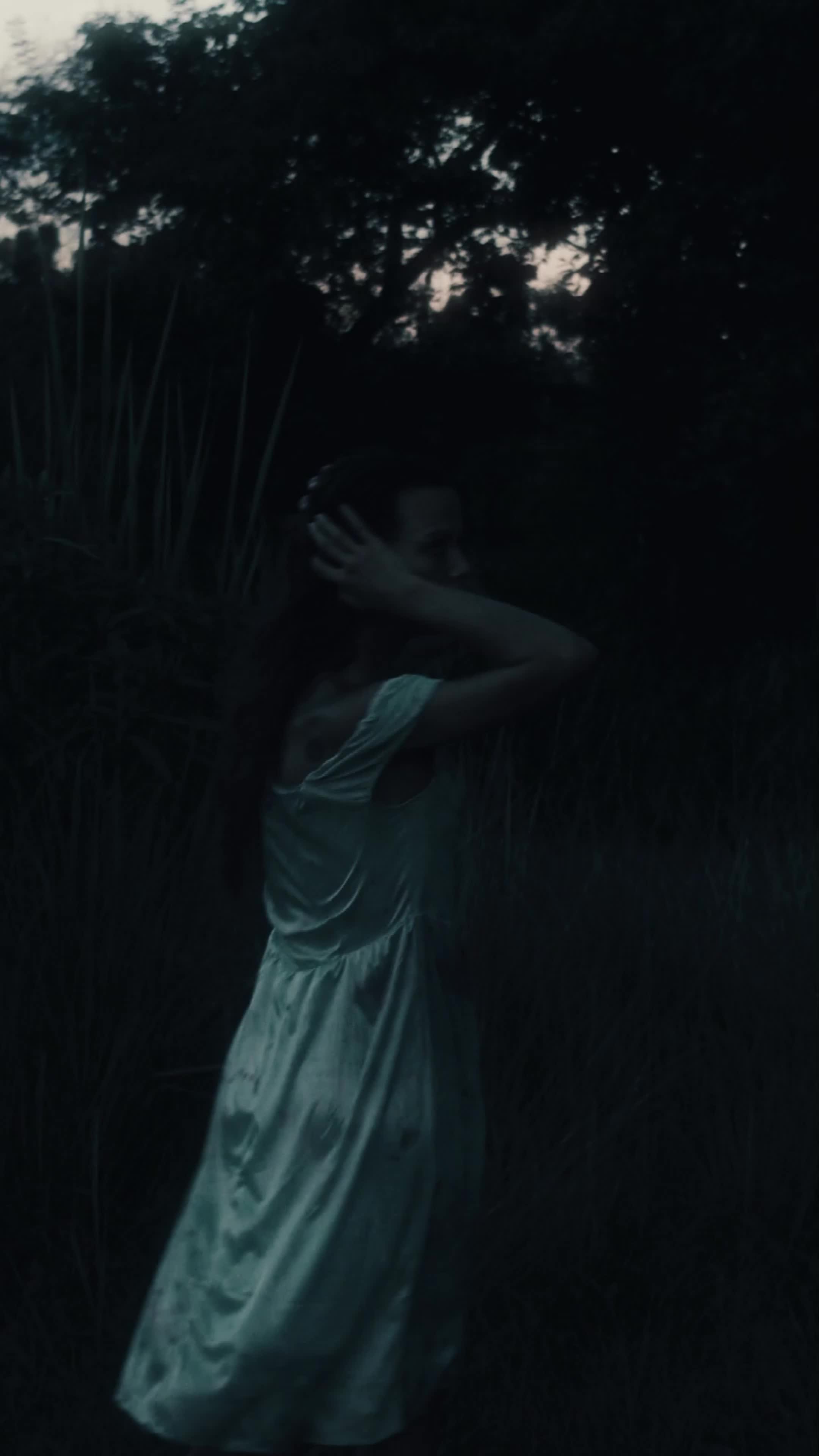 Image for Run 
