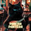 Cover image for Pancha Pantera 🇪🇸 