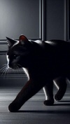 The Dark Sider