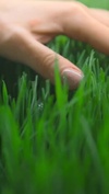 Touch Some Grass