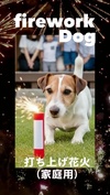 打ち上げ花火 家庭用（犬の歌）#花火大会
