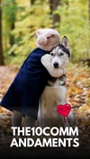 あと10年（犬の歌）#WeirdScience 82%