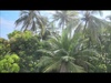 Cover image for Je tu leto_by MG (Ami) ♂